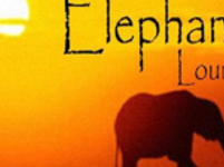 Ü30 Party in Münster - Singleparty in der Elephanten Lounge Münster Bild